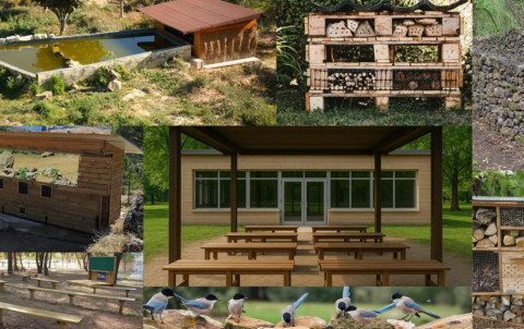 El Ayuntamiento recibe una subvención de 563.300 euros para la reforestación y acondicionamiento ambiental de una parcela en Punta Candor