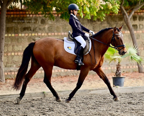 La amazona y su caballo